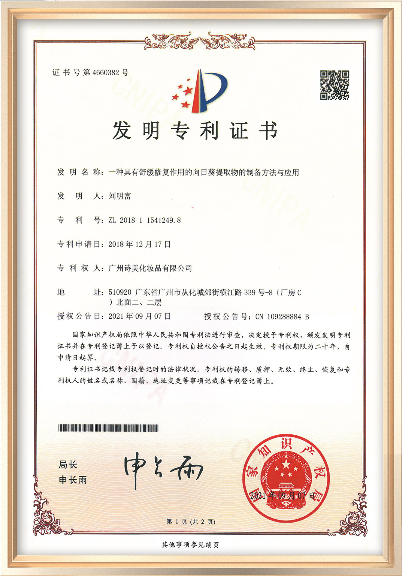 patent-60